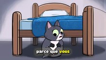 Votre Chat Attend Toute Sa VIE Que Vous Fassiez ÇA !