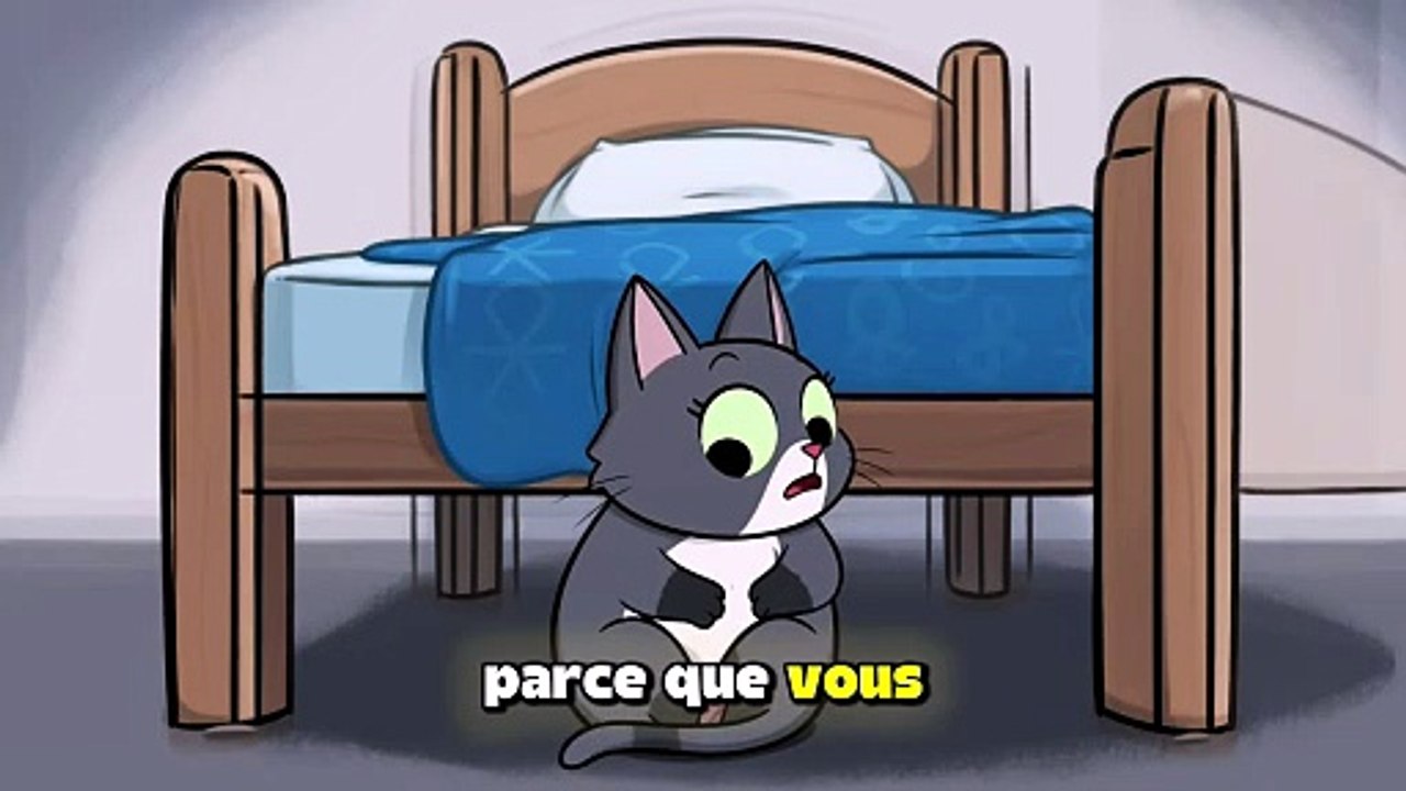 Votre Chat Attend Toute Sa VIE Que Vous Fassiez ÇA !
