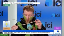 72 secondes pour vous convaincre de vous mettre au vert