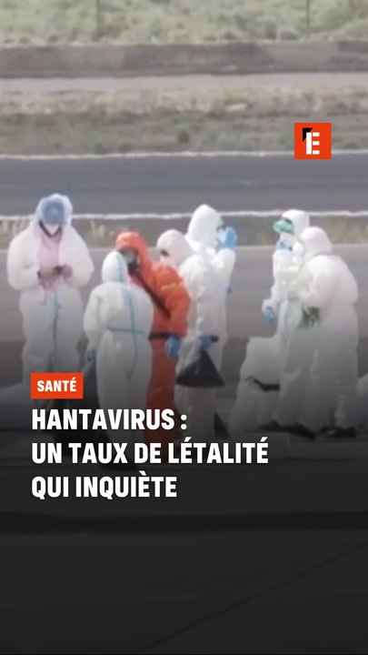Hantavirus : un taux de létalité qui inquiète