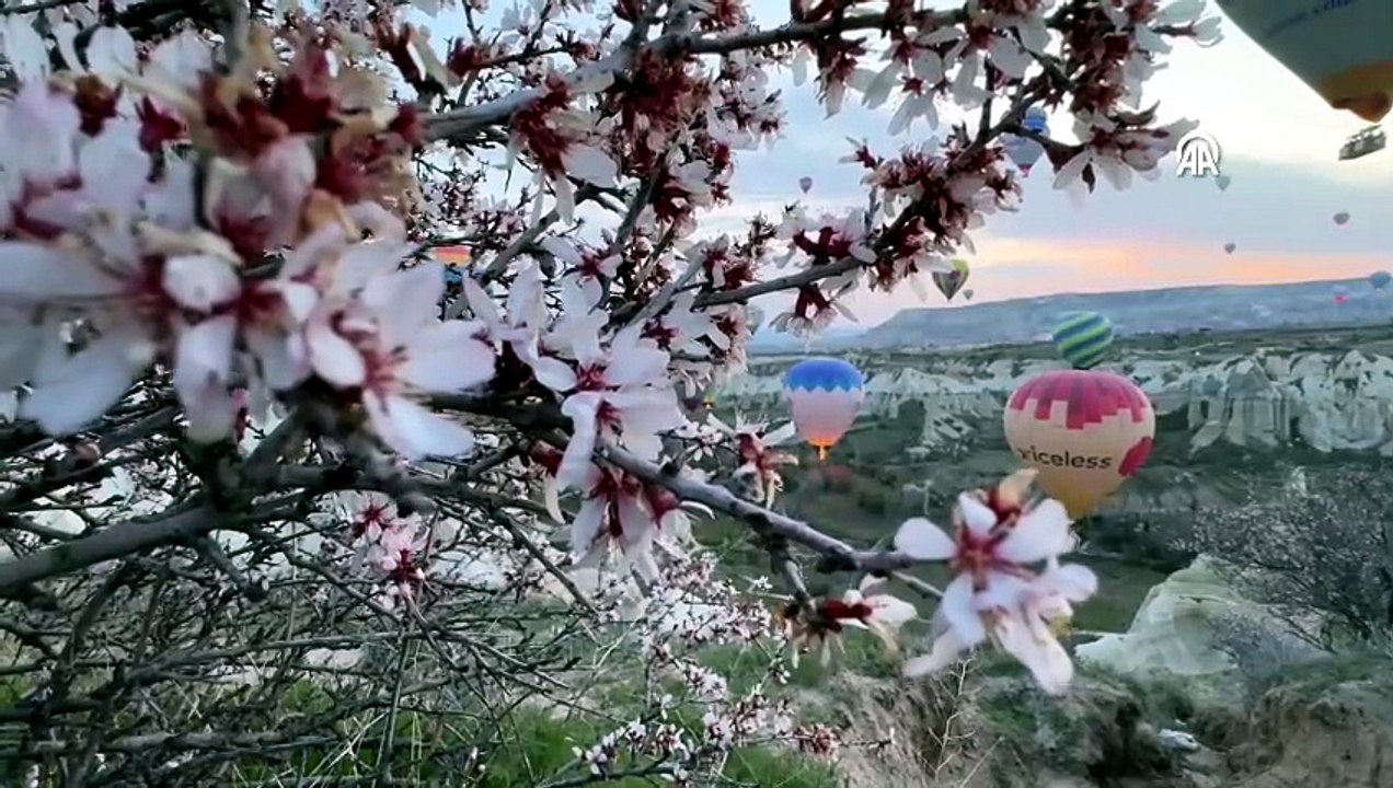 Kapadokya'da bağcılık ve halı müzesi gibi tematik yatırımlara destek verilecek