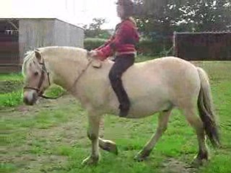 Marlene sur Mike
