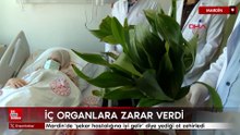 Mardin’de şeker hastalığına iyi gelir diye yediği ot zehirledi