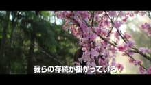 映画『モータルコンバット／ネクストラウンド』特別映像