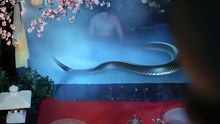 蛇尊大人，我最会暖手了