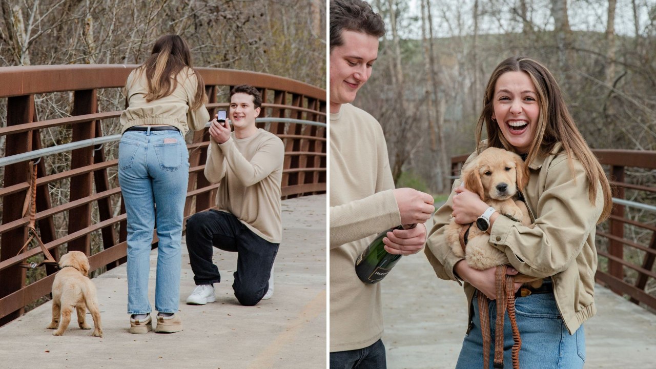 Puppy Surprise Turns Into Surprise Proposal | Happily TV