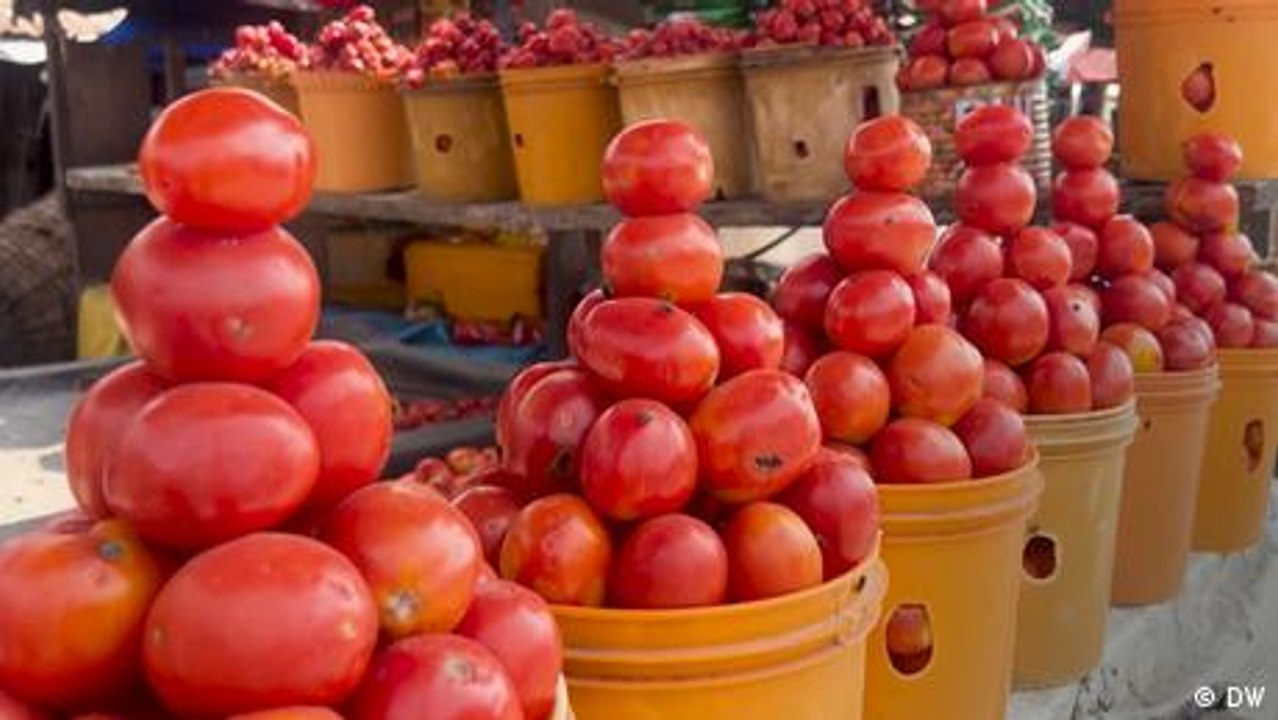 Finding a cool solution to decrease Nigeria's food loss