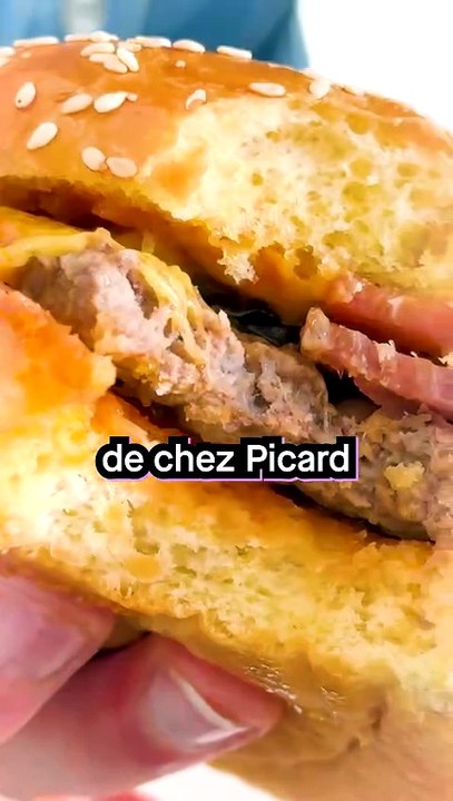 Testons les PIRES Plats Préparés de Picard (Partie 4)