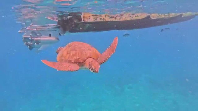 Similan Islands