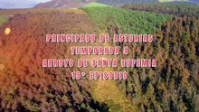 🚁Perchè DJI Mini2 E' Il drone Perfetto Per Viaggiare Arroyo de S.ta Eufemia 🌄#15