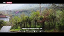 Kurtuluş Savaşı’na tanıklık eden tarihi bina