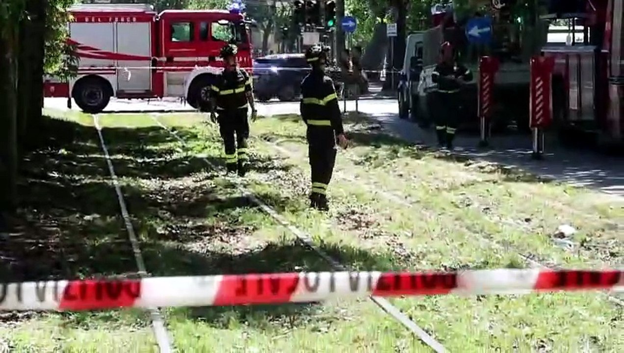 Albero caduto in piazza Firenze: tram e bus deviati