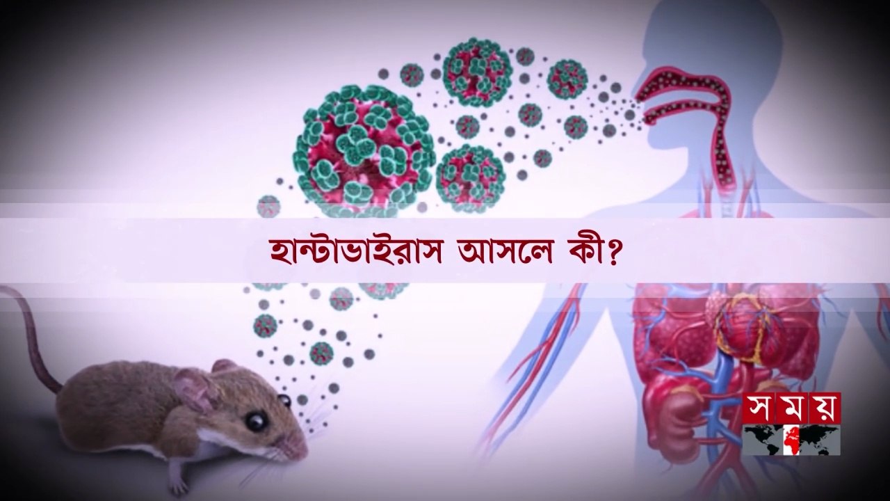 প্রমোদতরীতে রহস্যজনক মৃ ত্যু, আলোচনায় 'হান্টাভাইরাস' | Hantavirus Symptoms | Somoy TV