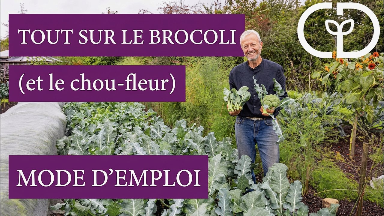Pour des récoltes d’automne réussies : date de...