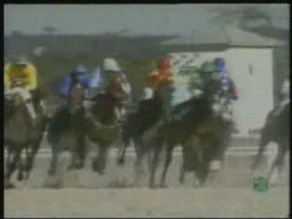 2005.12.18, nº 420 LZ (Infoinvest, Hand 2ªp) El Ripi