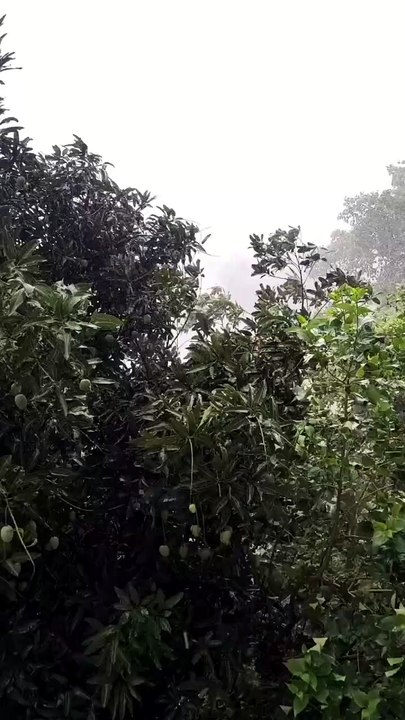 it's a rainy day #rain #rainyday