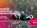Agenda des Sorties du 13 au 15 mai 2026
