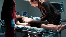 The Wolf Assassin: Pregnant & Dangerous | Full Werewolf Action Romance Movie