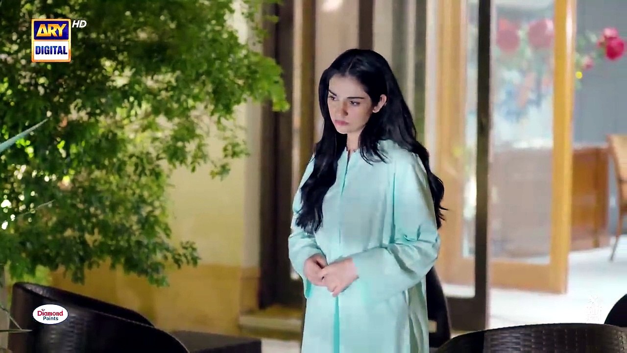 Sher Episode 17 | Danish Taimoor | Sarah Khan | Drama Browser