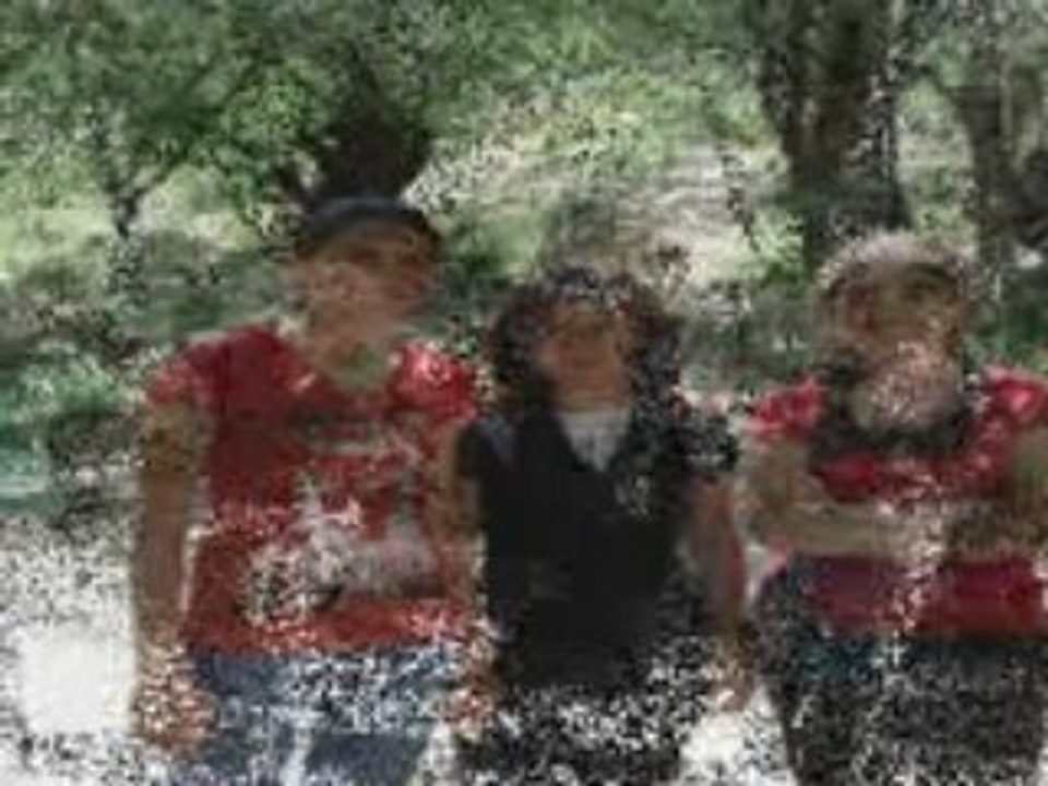 Bilgi_dersanesi_2008_OSS_piknik