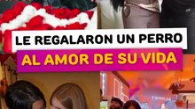 Famosos que le regalaron un perrito caro al amor de su vida