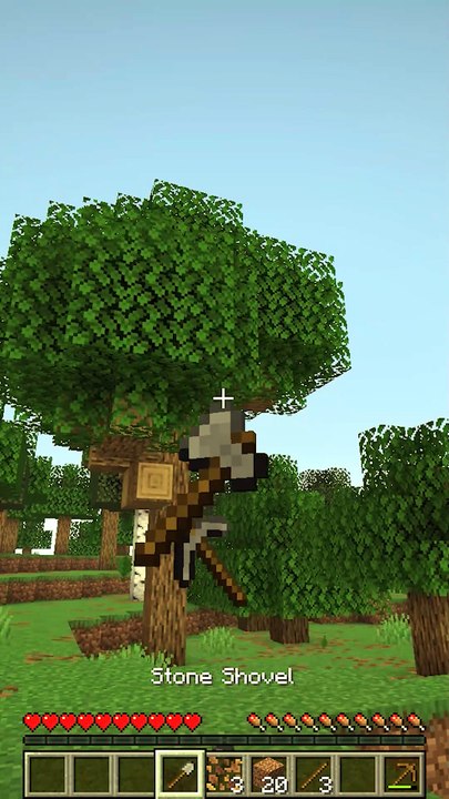 Quand tu commences une survie sur Minecraft 🤯
