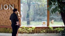 Ep.15 - A Secret in Prague - English Sub
