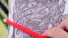 _foryou _dodle _peckock