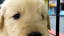 Watch the best funny fails videos and enjoy nonstop laughter 😂