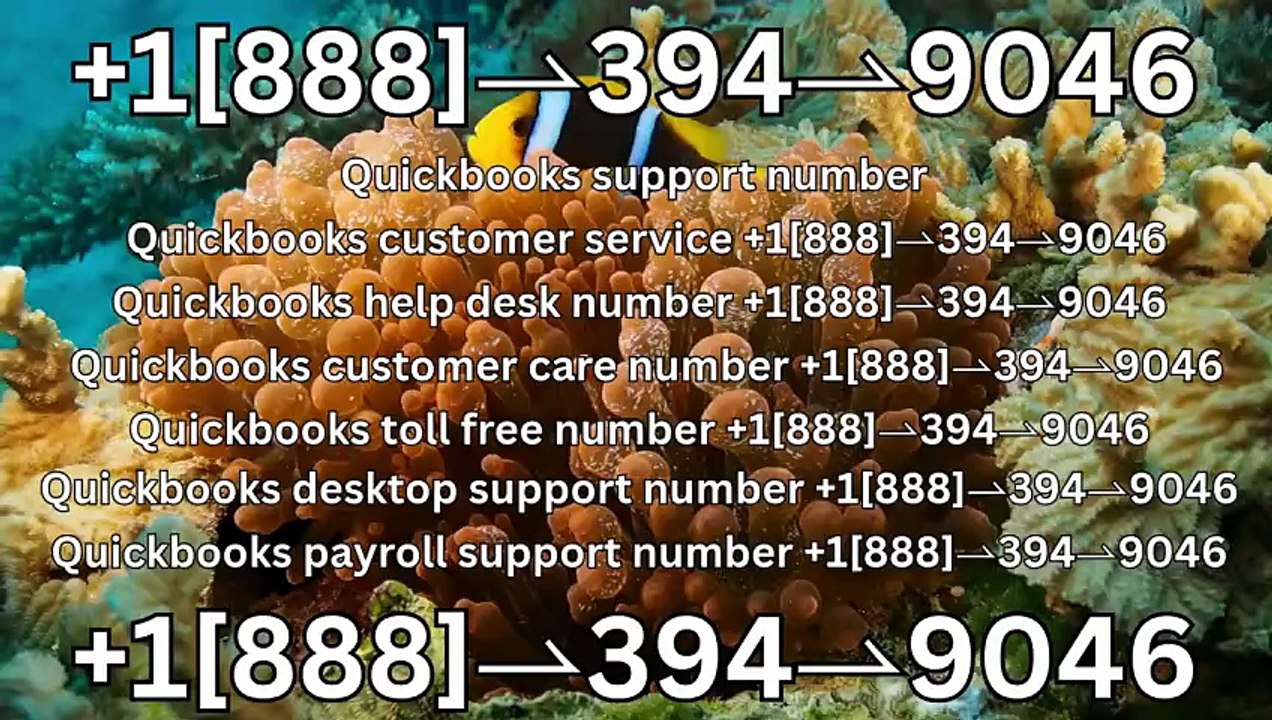 T0ppER Complete™ List of QuickbooksⓃ PayrolL© CUSTOMER℗ (Toll Free Number Support) Number A Complete Guide