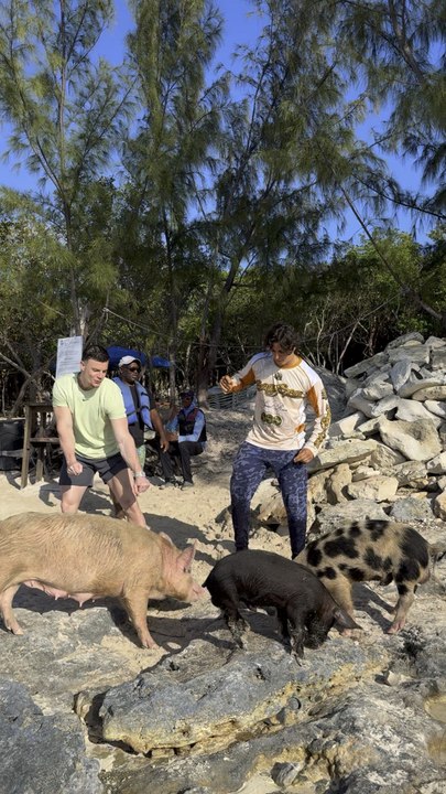 En famille 🐷