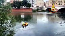 Gatto cade nel fiume Adige, salvato in tempo dai Vigili del Fuoco