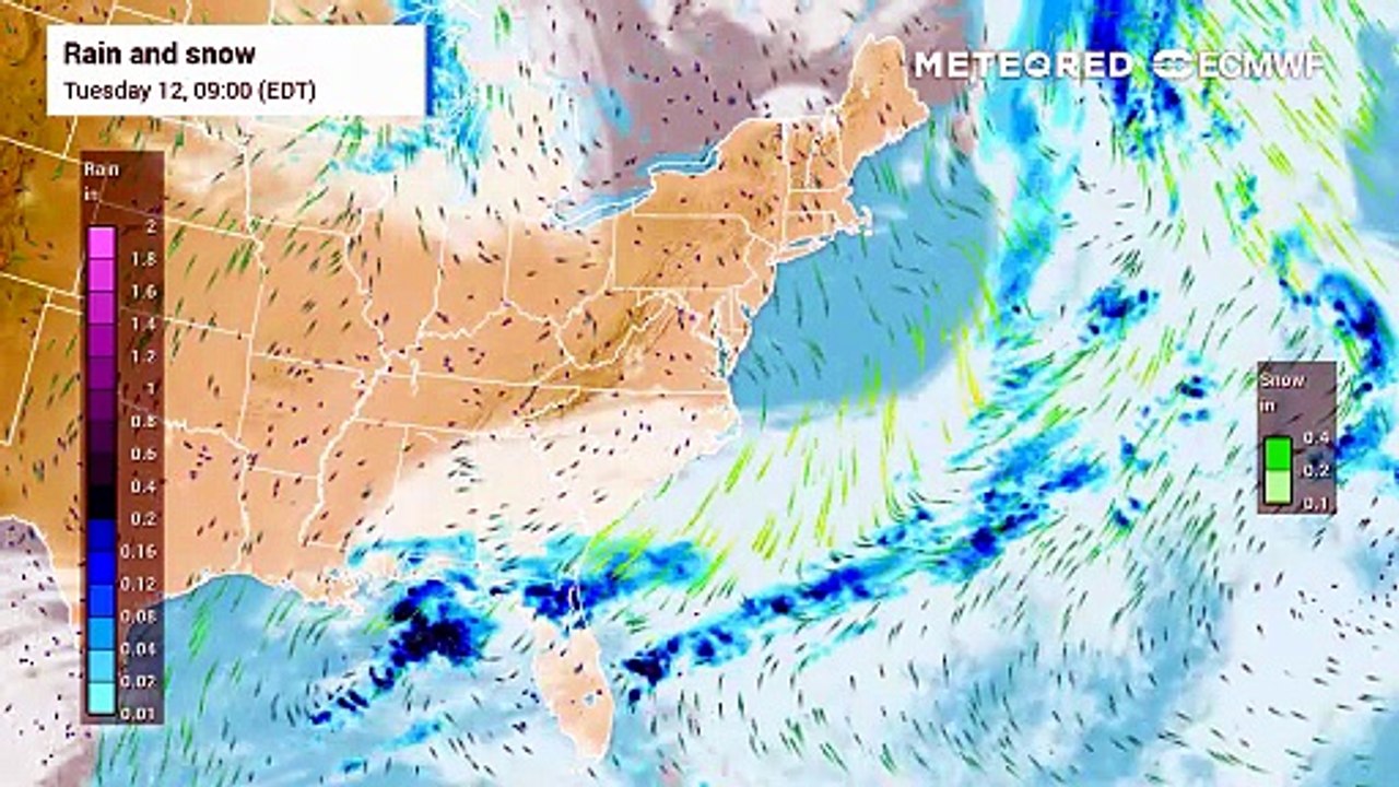 Showers and Storms Continue Across Portions of Florida Through Wednesday
