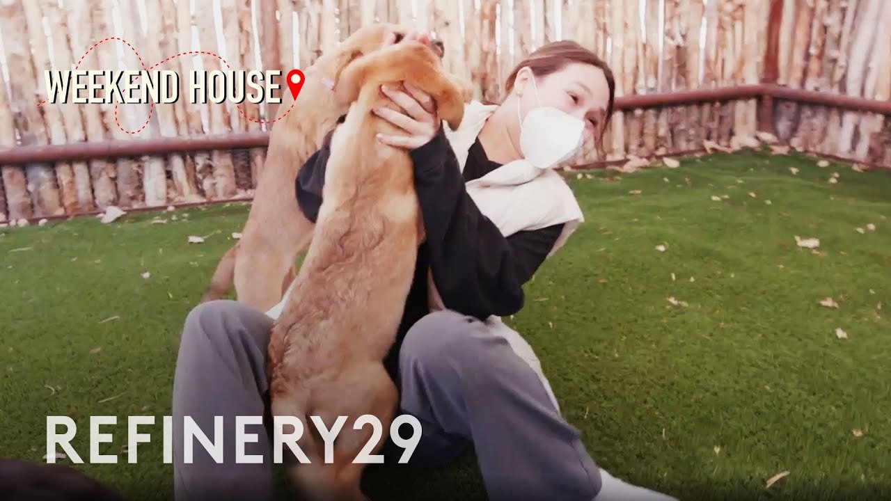 This $460/night Spa Has Puppies, Hiking & Axe Throwing | Weekend House | Refinery29