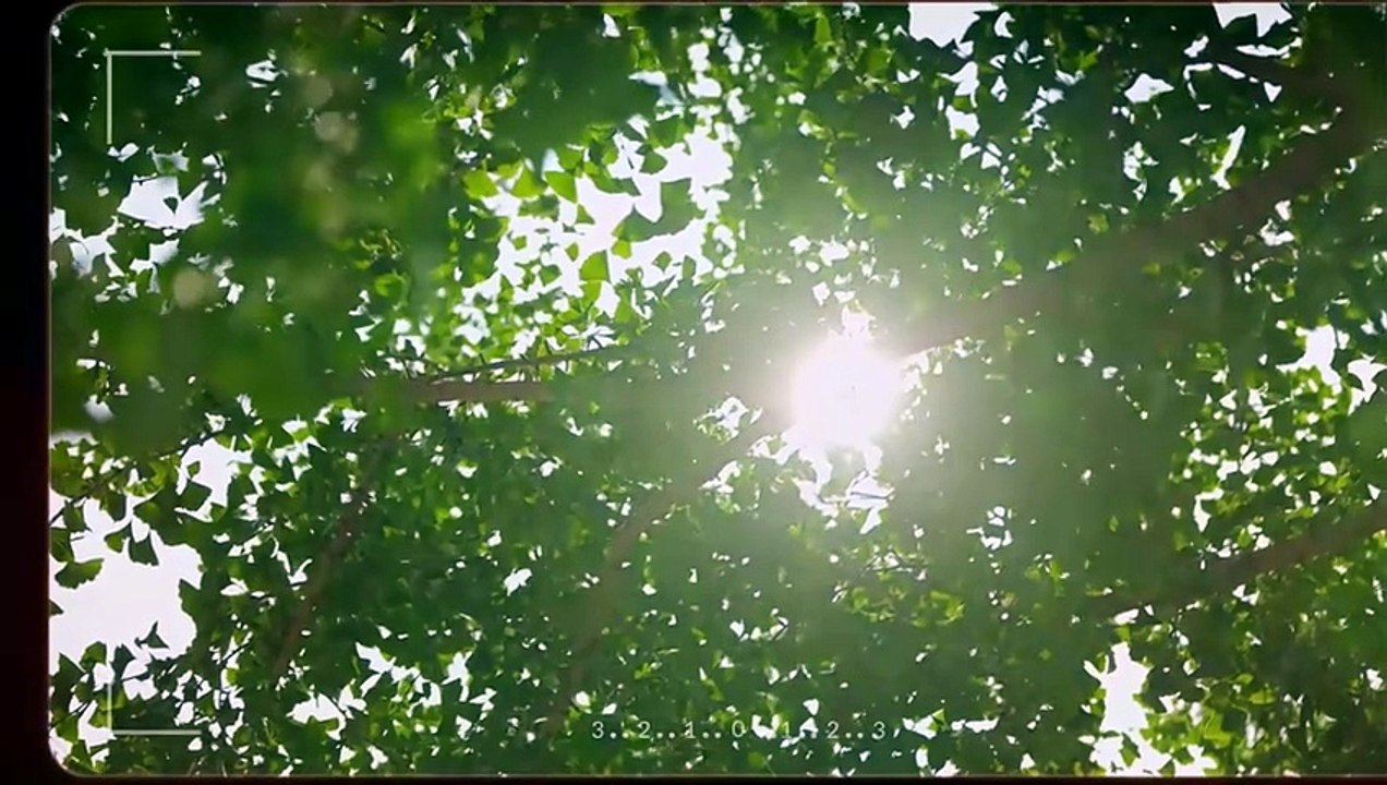 [Eng Sub] In Love With Loving You Episode 14 [Full Movie] [Watch Free Online]Full EP - Full