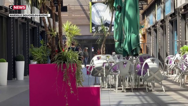 Marseille : quel protocole sanitaire contre l'hantavirus ?