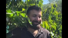 Michele monopoli story oggi raccogliamo ciliege biologiche