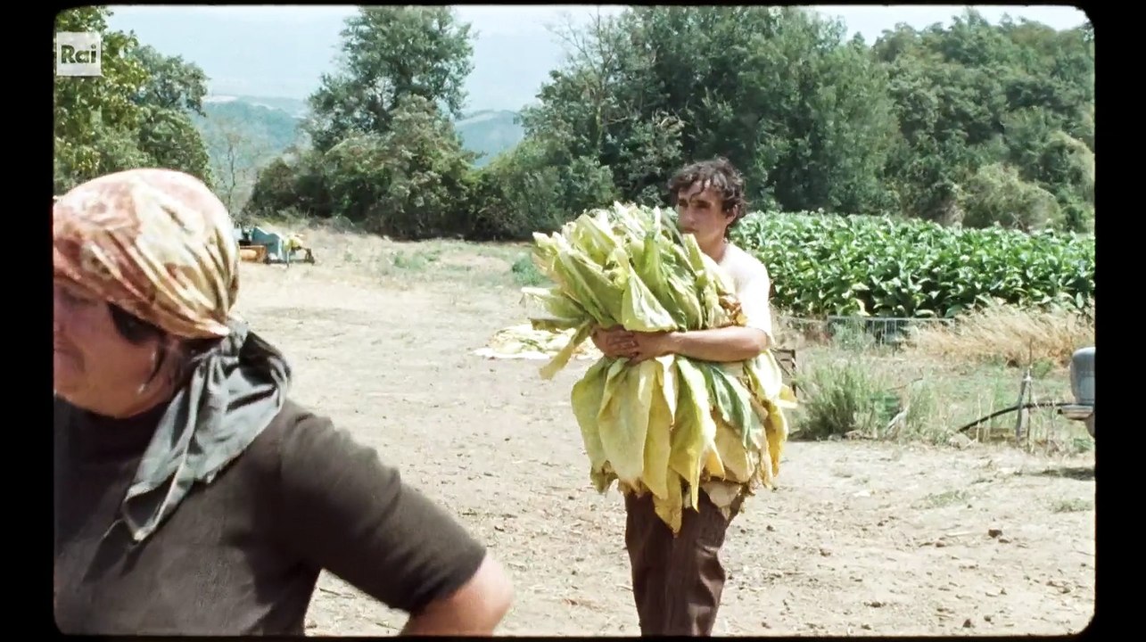 Lazzaro felice#1.tempo