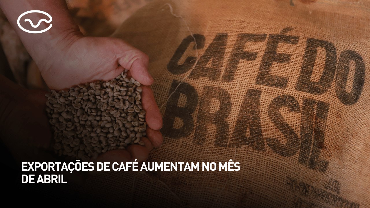 Exportações de café aumentam no mês de abril