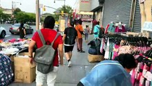 POV Summer Walking Tour of The Bronx, New York City