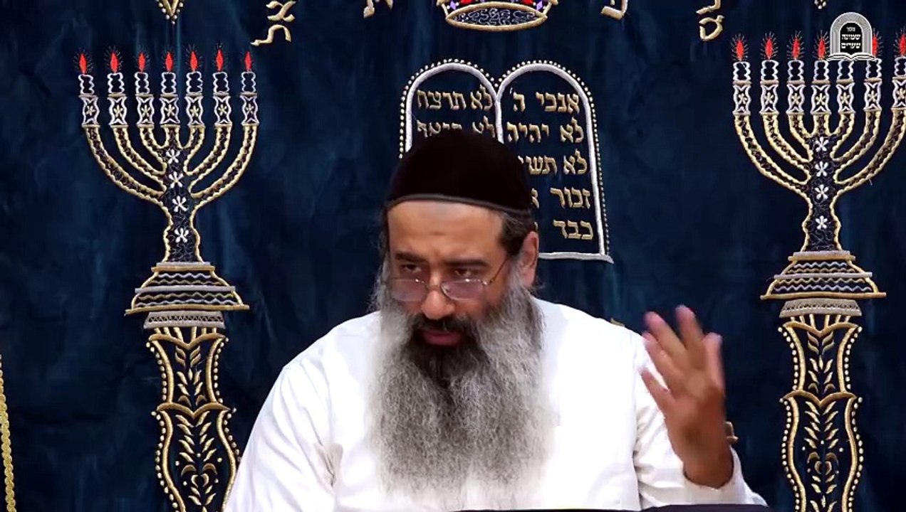 פנימיות דחיצוניות 15