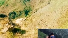 InShot_20260510_063721863