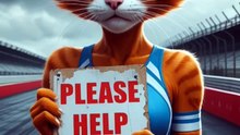 Lonely Cat Lady on the Racetrack 😿🏁  A Cry for Help
