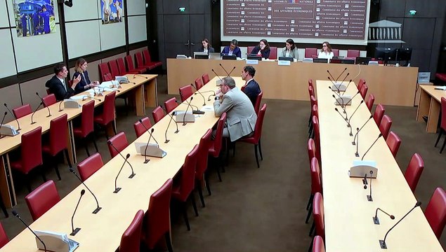 Vulnérabilités systémiques dans le secteur du numérique : Représentants de Mistral AI ; M. Fabrice Coquio, pdg de Digital Realty - Mardi 12 mai 2026
