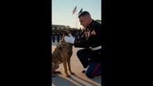 K9 【Retired】