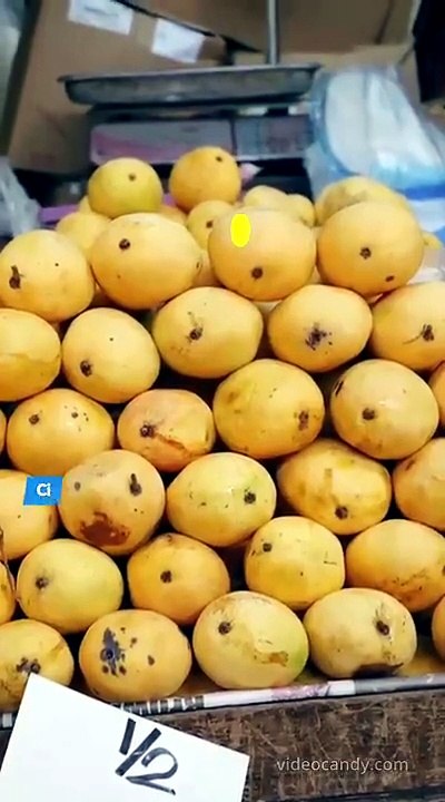 क्या आप भी आम खाने के तुरंत बाद पानी पीते हैं