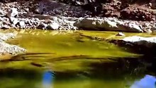 quran rectiation  allah believe beauty  beautifull islamic short video viral trending