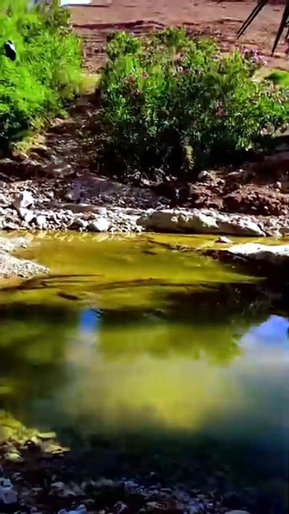quran rectiation  allah believe beauty  beautifull islamic short video viral trending