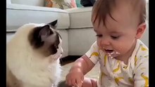 This reel shows a tiny toddler standing toe-to-toe with an unimpressed cat, hands planted firmly