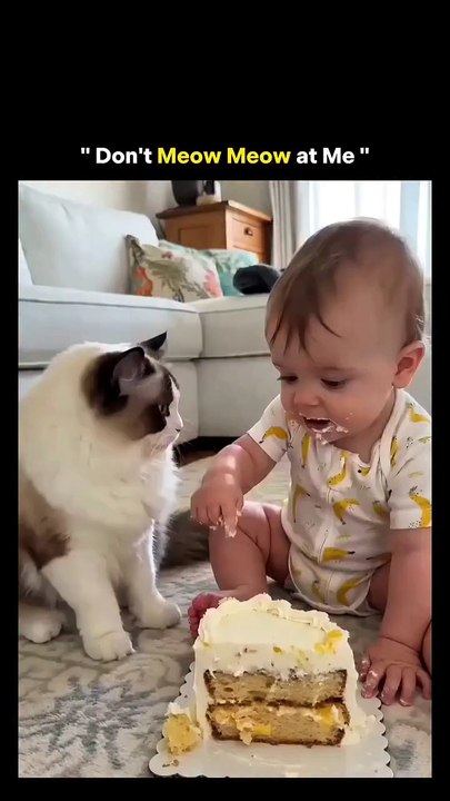 This reel shows a tiny toddler standing toe-to-toe with an unimpressed cat, hands planted firmly